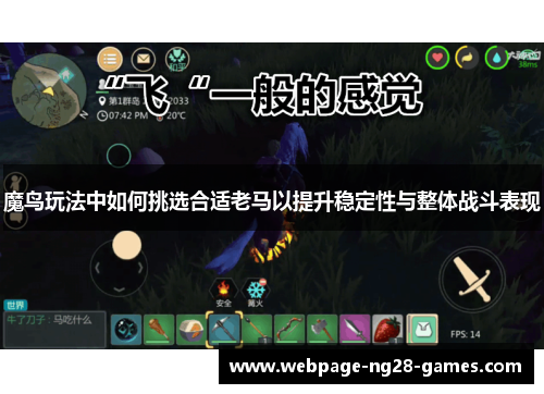 魔鸟玩法中如何挑选合适老马以提升稳定性与整体战斗表现 魔鸟玩法中如何挑选合适老马以提升稳定性与整体战斗表现