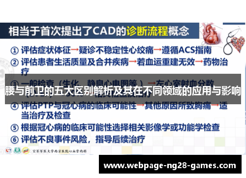 腰与前卫的五大区别解析及其在不同领域的应用与影响 腰与前卫的五大区别解析及其在不同领域的应用与影响
